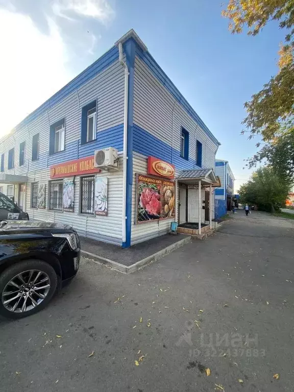 Торговая площадь в Курганская область, Шумиха ул. Кирова, 9 (38 м) - Фото 1