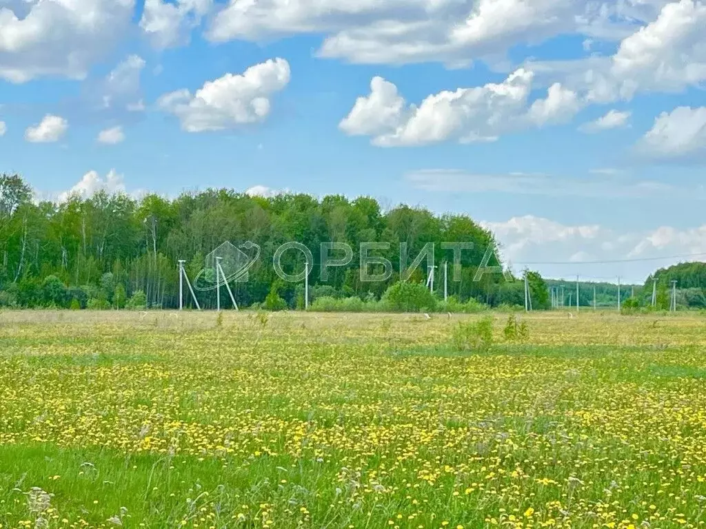 Участок в Тюменская область, Тюменский район, с. Горьковка Сибирская ... - Фото 1