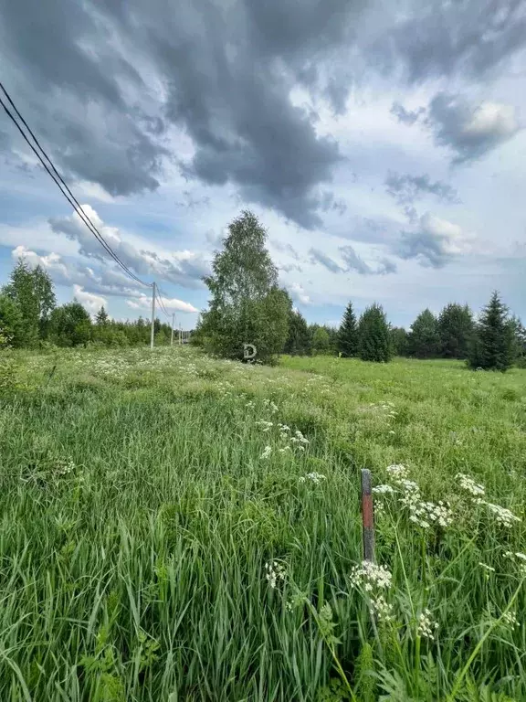 Участок в Кировская область, Кирово-Чепецкий район, Пасеговское с/пос, ... - Фото 1
