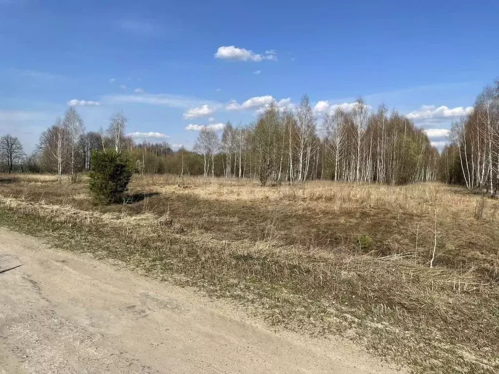 Участок в Тульская область, Белев г. Белев городское поселение,  ... - Фото 1