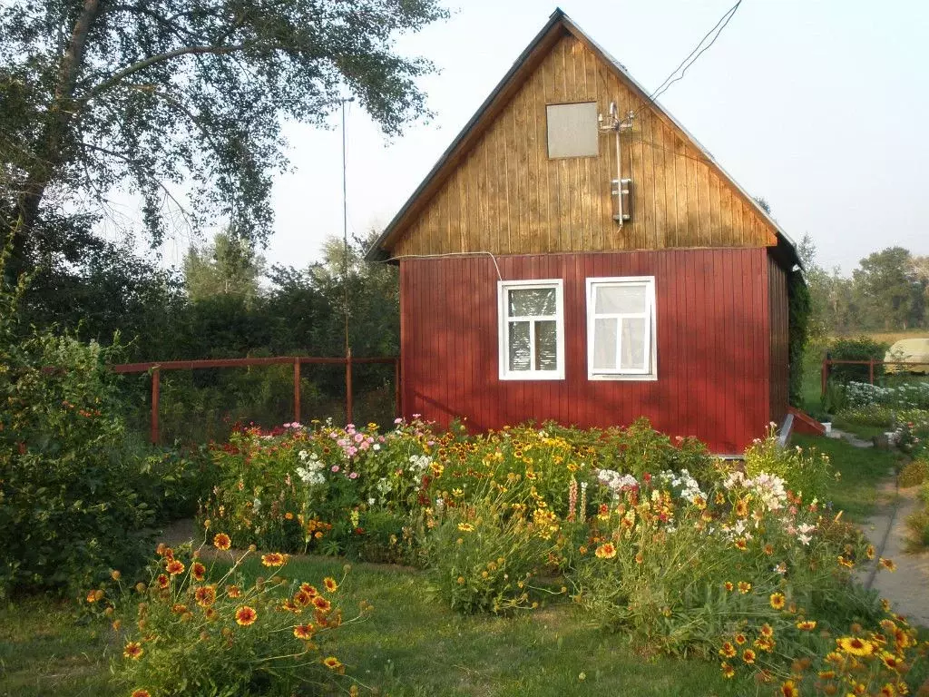 Дом в Омская область, Омский район, Новоомское с/пос, Шинник СНТ  (26 ... - Фото 1