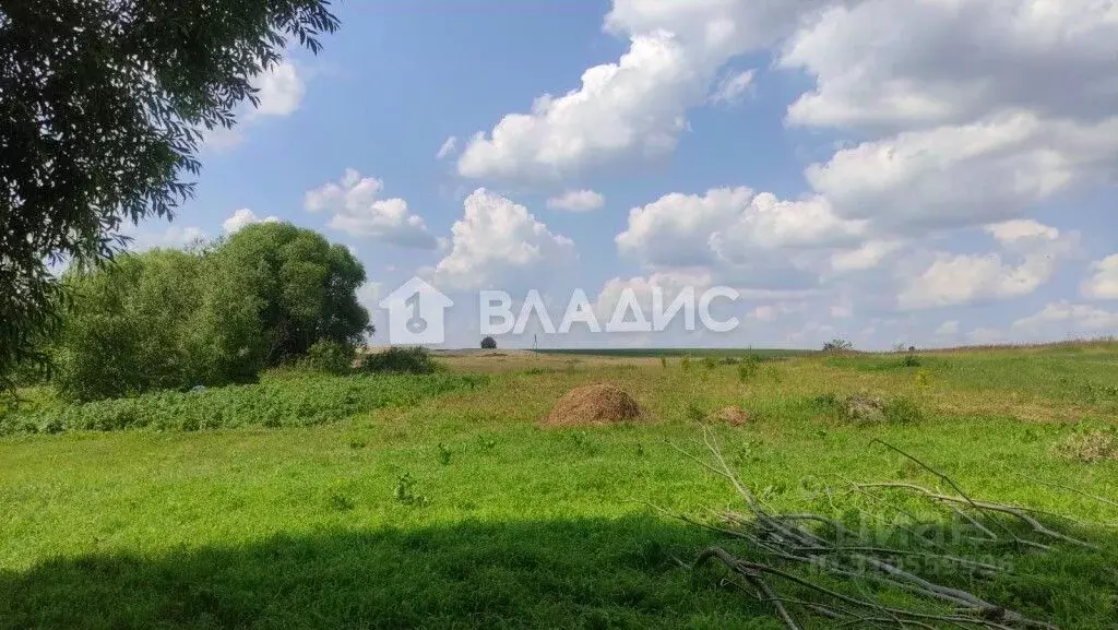 Участок в Владимирская область, Суздальский район, Новоалександровское ... - Фото 0