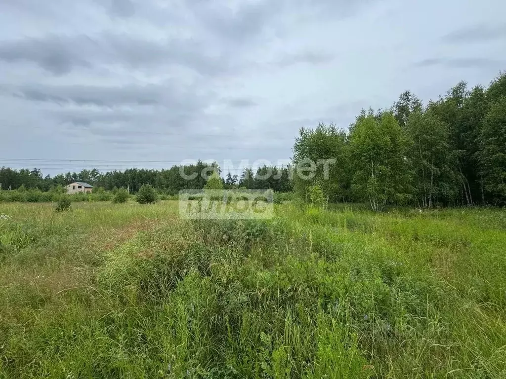 Участок в Московская область, Богородский городской округ, Новое ... - Фото 1