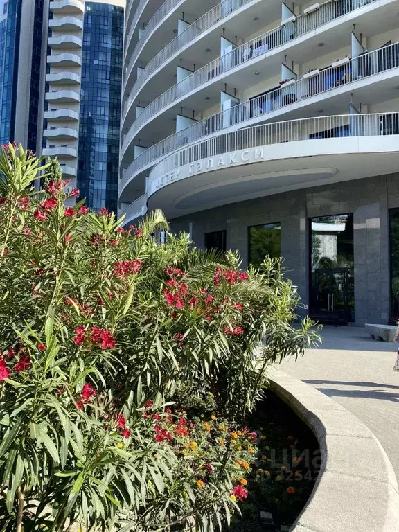 Студия Краснодарский край, Сочи Курортный просп., 105 (21.0 м) - Фото 1