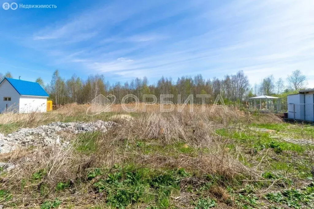 Участок в Тюмень, СНТ Автомобилист (10 м) - Фото 2