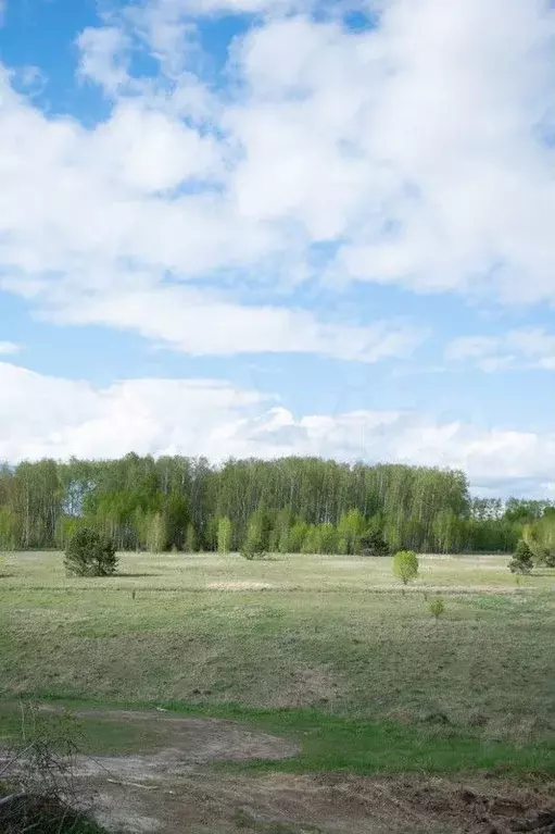 Участок 10 сот. (ИЖС) - Фото 1