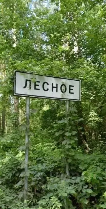 Торговая площадь в Алтайский край, Бийский район, с. Лесное Лесная ... - Фото 1