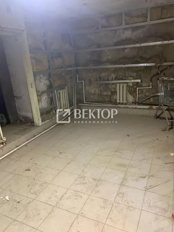 Помещение свободного назначения в Ярославская область, Ярославль пер. ... - Фото 2