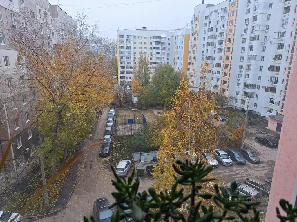 3-к кв. Самарская область, Самара Ново-Садовая ул., 244 (72.8 м) - Фото 2