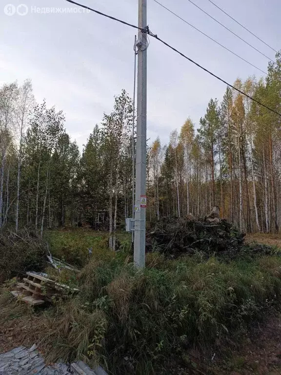 Участок в Свердловская область, городской округ Верхняя Пышма, посёлок ... - Фото 1