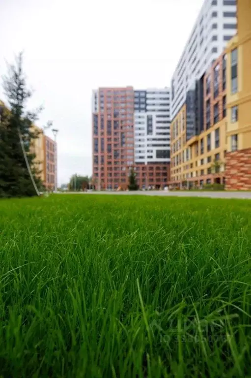 3-к кв. Тверская область, Тверь ул. 2-я Красина, 64 (72.5 м) - Фото 0