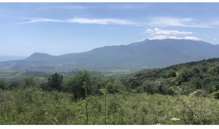 Участок в Крым, Алушта муниципальный округ, с. Лучистое пер. Волшебный ... - Фото 0