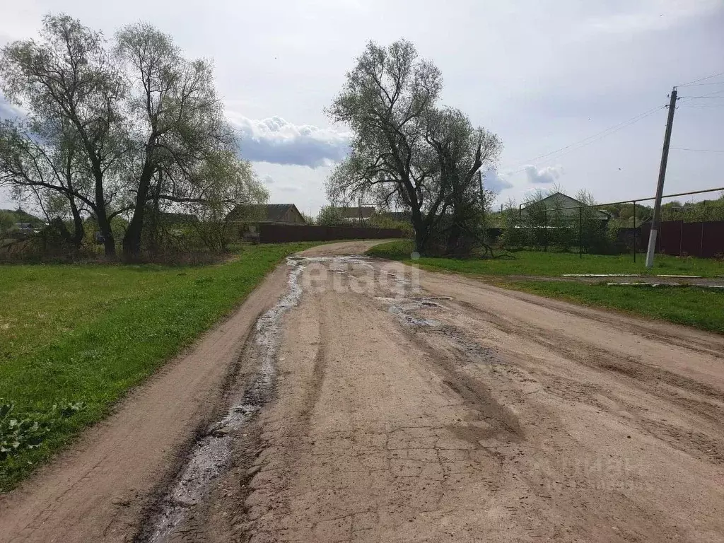 Участок в Мордовия, Старошайговский район, Новоакшинское с/пос, с. ... - Фото 1