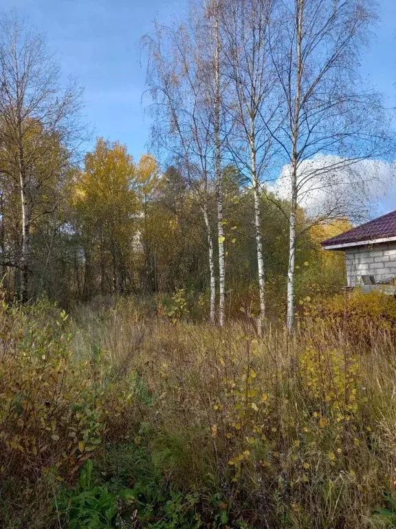 Участок в Ленинградская область, Тосненский район, Красноборское ... - Фото 0