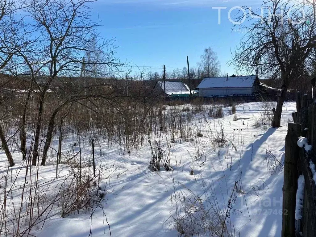 Недвижимость В Золотаревке Пензенской Области Купить