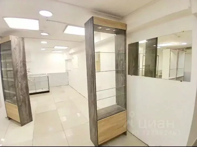 Торговая площадь в Санкт-Петербург Московский просп., 197 (20 м) - Фото 2