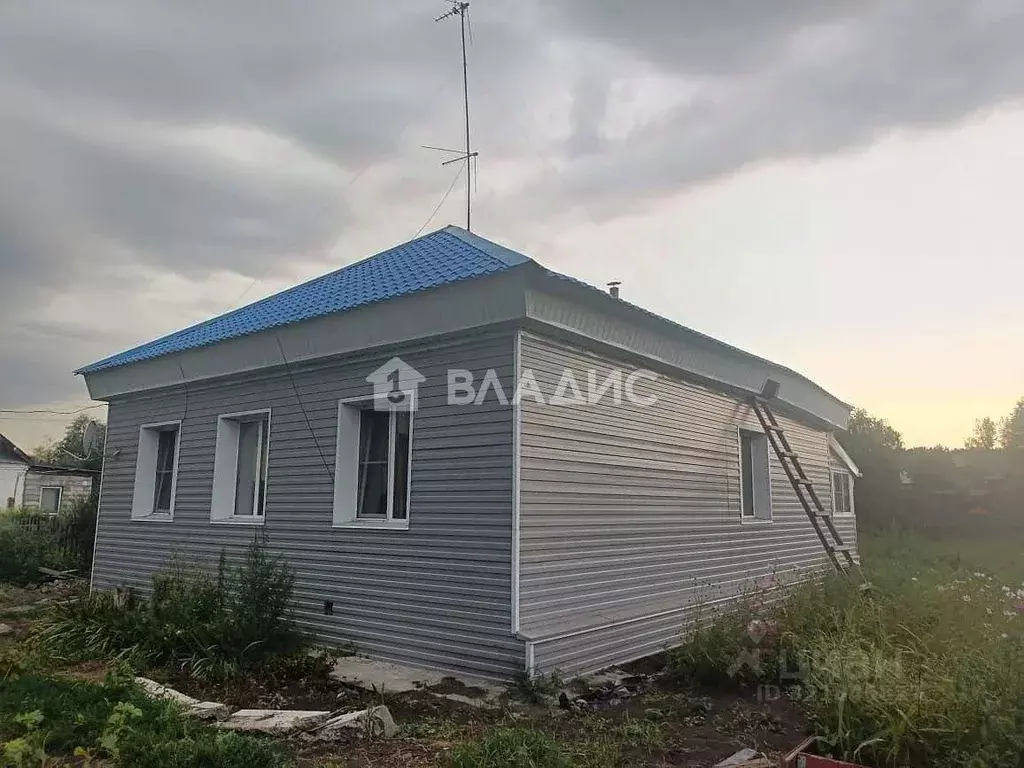 Дом в Алтайский край, Бийский район, с. Енисейское Речной пер. (55 м) - Фото 1
