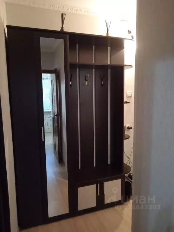 1-к кв. Московская область, Ногинск Богородский городской округ, ул. ... - Фото 2