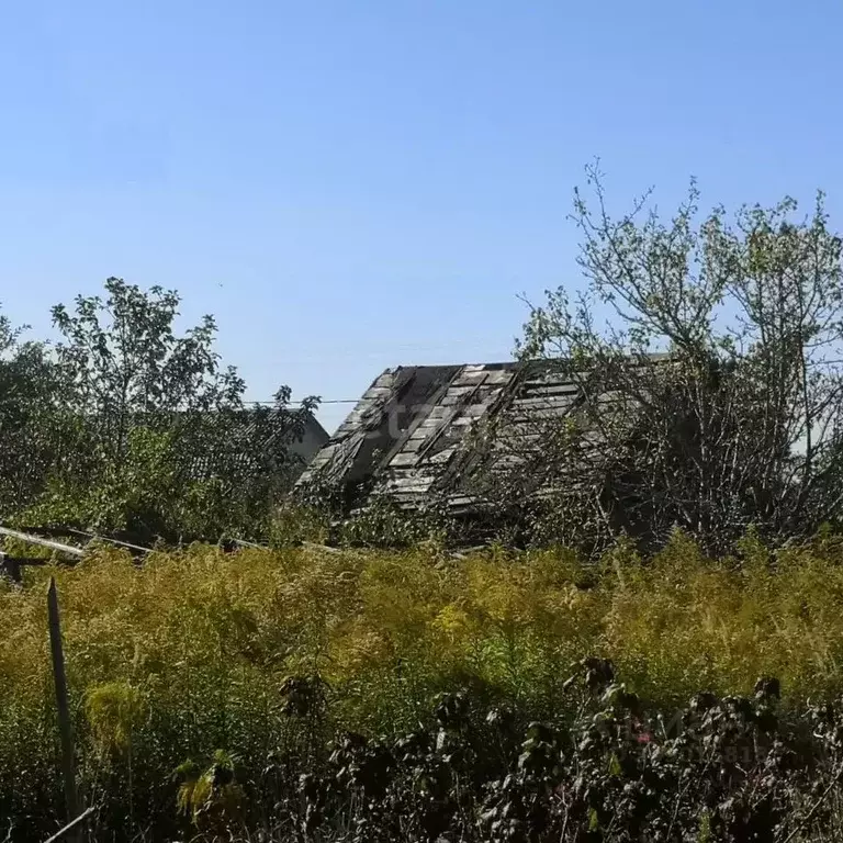 Участок в Брянская область, Брянский район, Нетьинское с/пос, ... - Фото 1