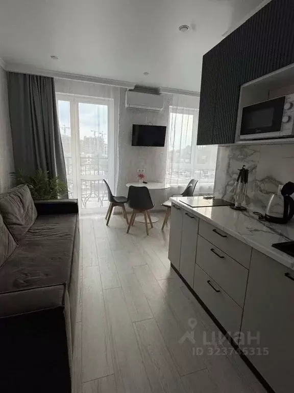 1-к кв. Краснодарский край, Сочи ул. Искры, 88к1 (30.0 м) - Фото 1