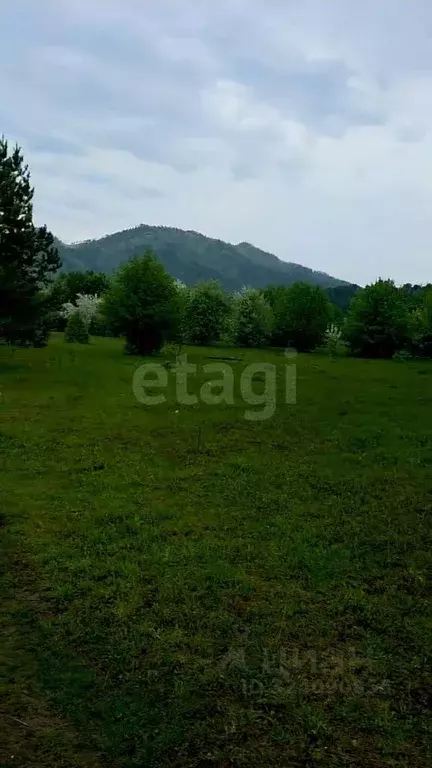 Участок в Алтай, Чемальский район, Узнезинское с/пос, с. Узнезя  ... - Фото 2