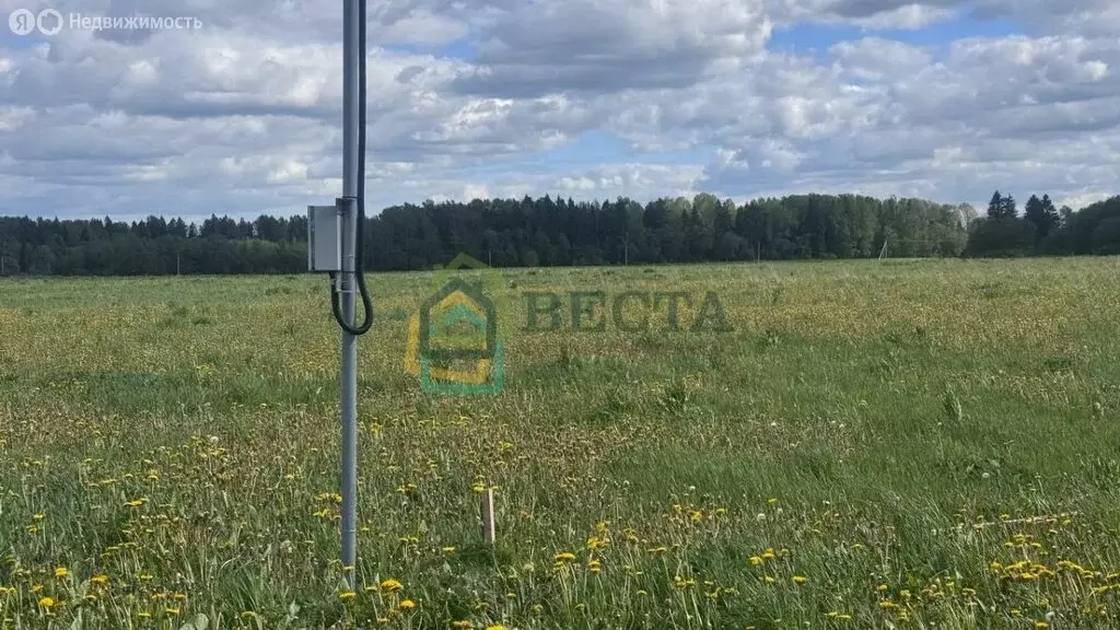 Участок в деревня Жабино, улица Петра Семёнова, 17 (10 м) - Фото 2