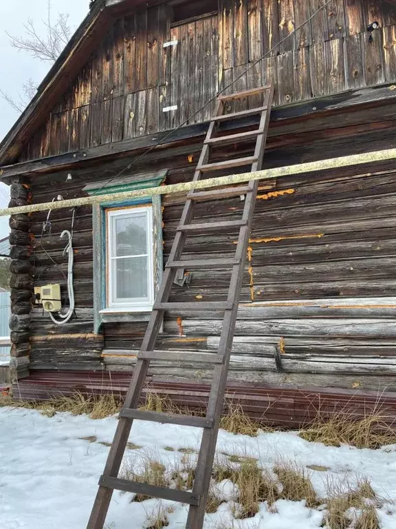 Дом в Тамбовская область, Тамбовский муниципальный округ, Поселок ... - Фото 1