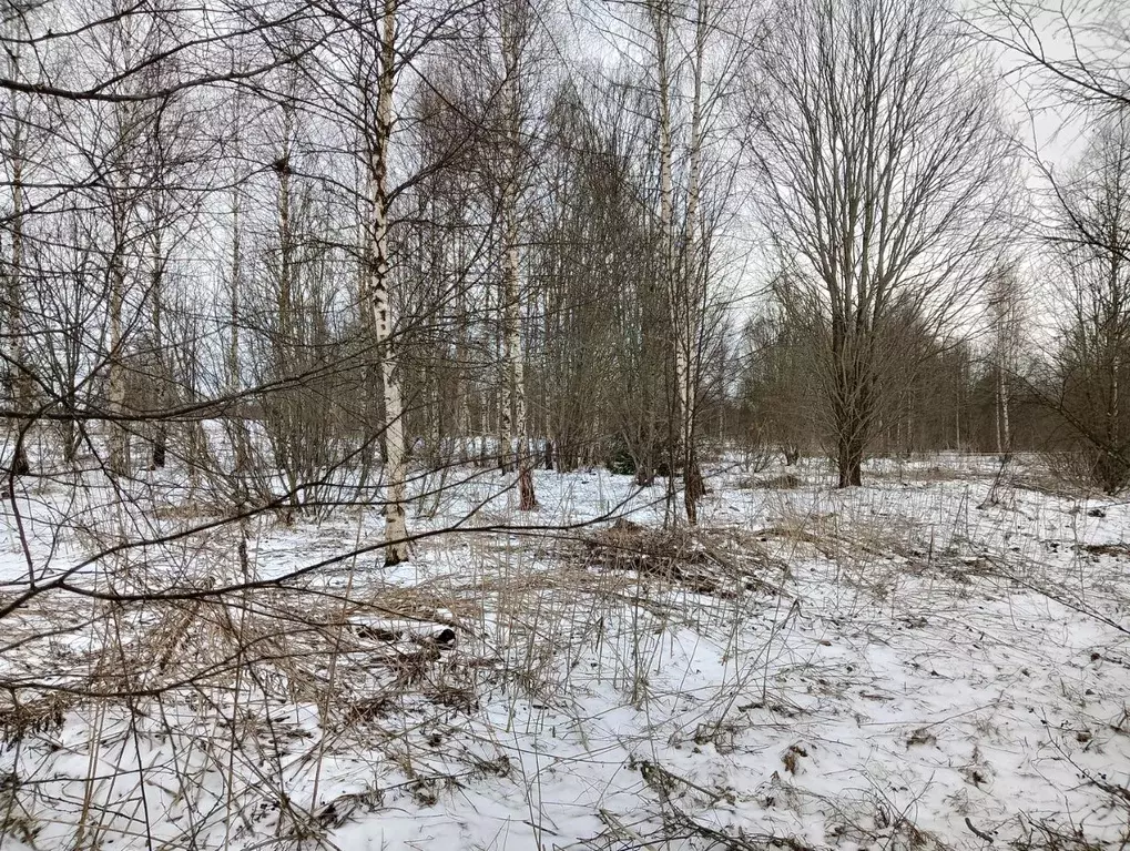 Участок в Московская область, Клин городской округ, д. Аксениха  (8.96 ... - Фото 0
