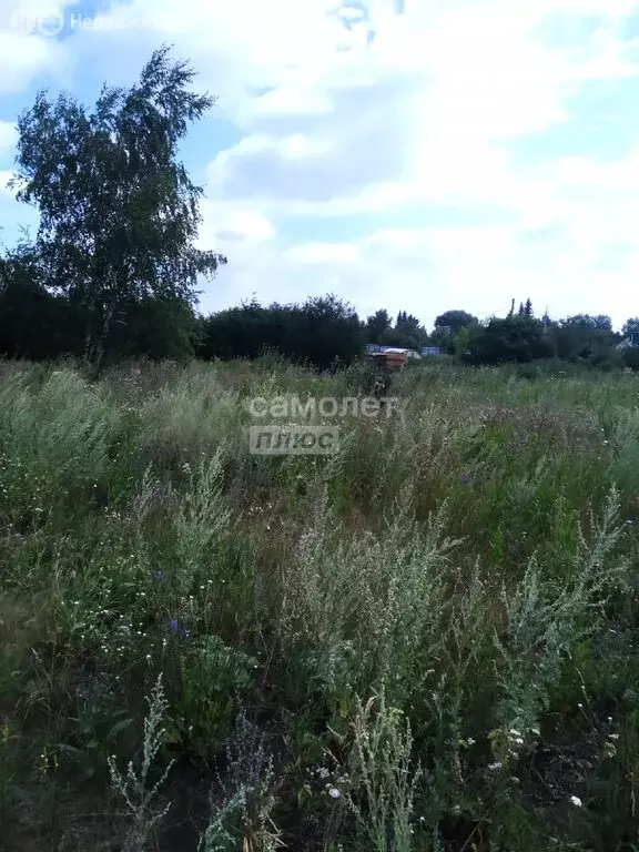 Участок в Омск (5 м) - Фото 2