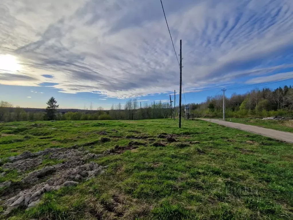 Участок в Карелия, Прионежский район, Деревянское с/пос, Урочище ... - Фото 2