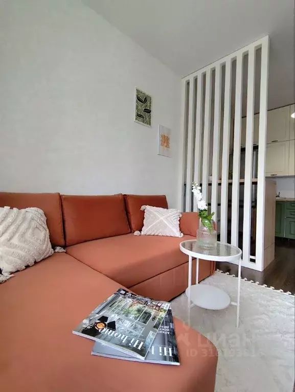 Студия Санкт-Петербург Кондратьевский просп., 68к4 (24.7 м) - Фото 0
