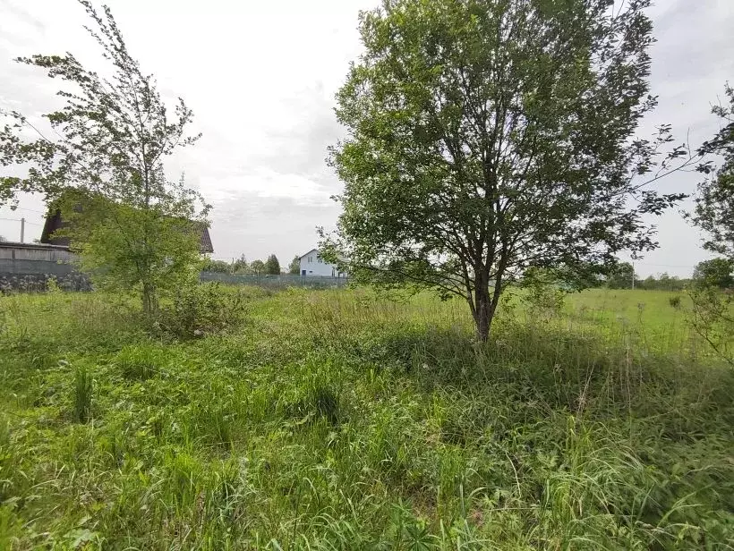 Участок в Московская область, Клин городской округ, Южное СНТ ул. 1-я ... - Фото 2