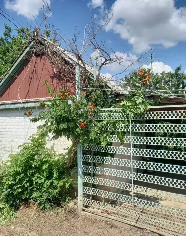 Дом в Ростовская область, Белая Калитва  (10 м) - Фото 0