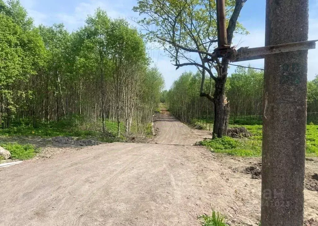 Участок в Ленинградская область, Шлиссельбург Кировский район, ул. ... - Фото 2
