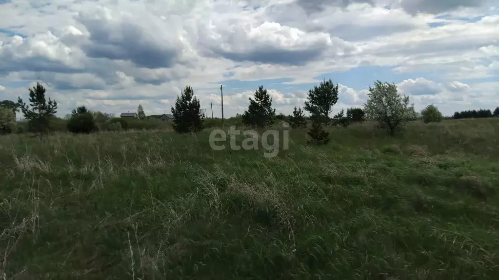 Участок, 25 сот., поселения (ижс) - Фото 1