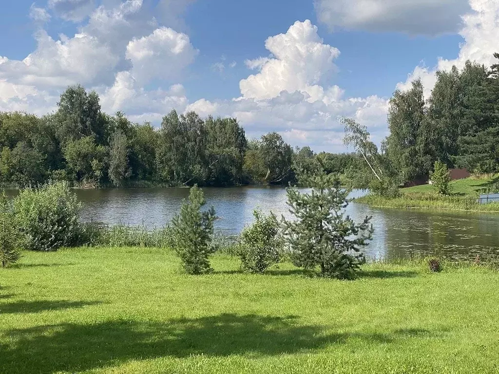 участок в московская область, дмитровский городской округ, с. . - Фото 1