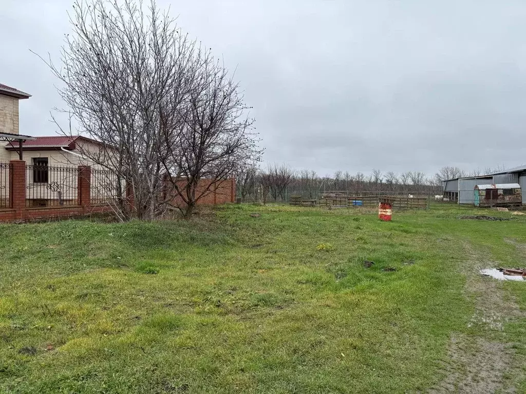 Участок в Краснодарский край, Ейск ул. Карла Маркса (15.0 сот.) - Фото 2