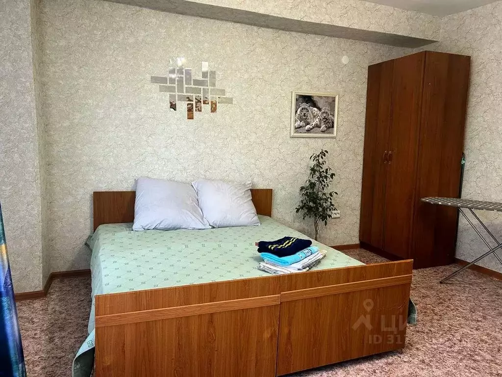 1-к кв. Иркутская область, Тулун ул. Павлова, 28/3 (32.0 м) - Фото 0