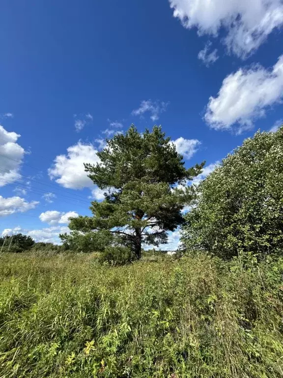 Участок в Кировская область, Кирово-Чепецкий район, Пасеговское с/пос, ... - Фото 1