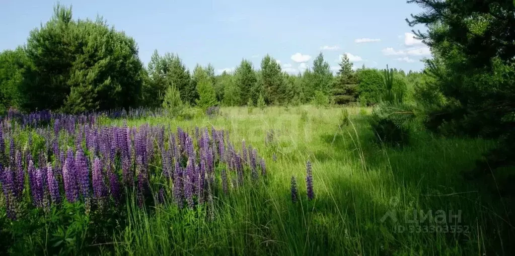 Участок в Нижегородская область, Сосновский муниципальный округ, д. ... - Фото 1