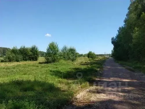Участок в Московская область, Клин городской округ, Ольховка дп  (15.0 ... - Фото 1