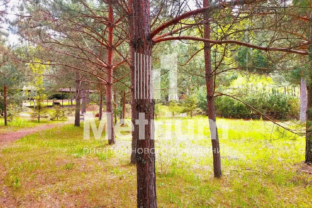 Продается участок в ДНП Красновидово-2 - Фото 2