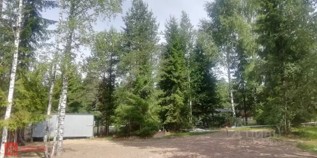 Участок в Ленинградская область, Выборгский район, Первомайское с/пос, ... - Фото 1