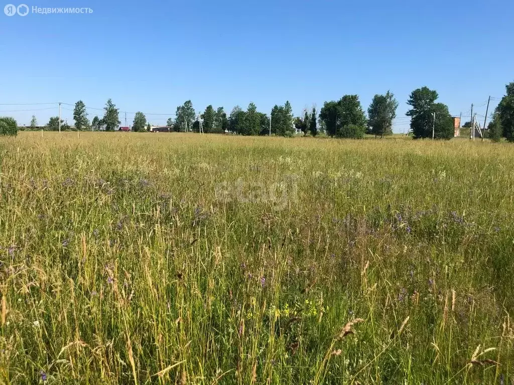 Участок в Кусино, Школьная улица (20 м) - Фото 1