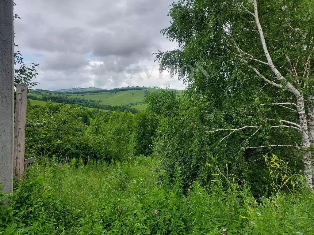 Участок в Алтай, Горно-Алтайск Совхозная ул. (8.4 сот.) - Фото 1