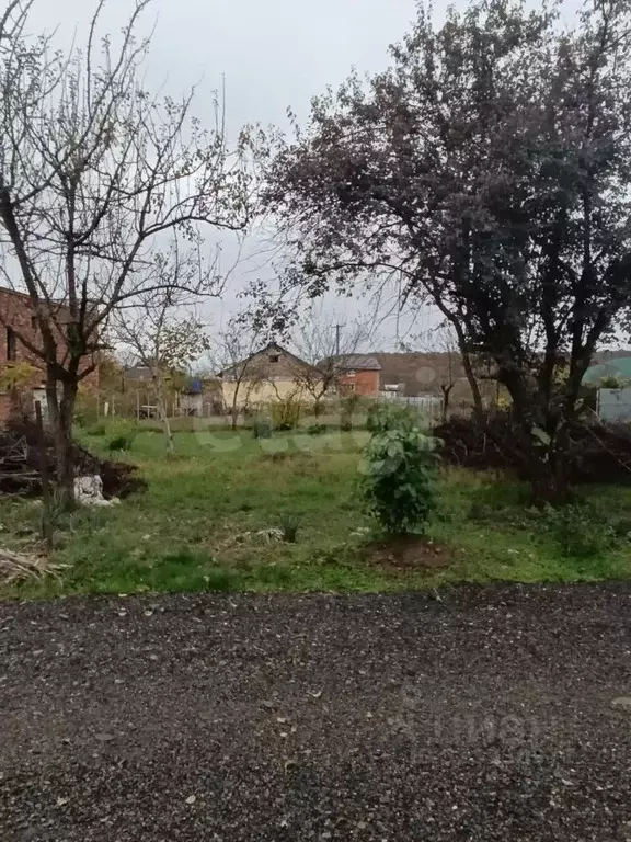 Участок в Адыгея, Майкоп Дружба ДНТ, ул. Грушевая (483.0 сот.) - Фото 2