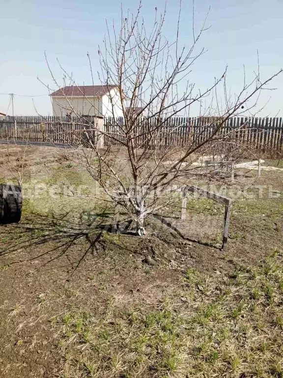 Участок в Тюменская область, Тюменский район, Воскресенье-1 ДНТ ул. ... - Фото 2