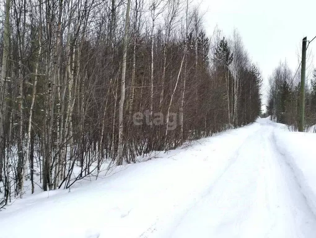 Участок в Ханты-Мансийский АО, Ханты-Мансийск Бытовик СОТ, 80 (10.0 ... - Фото 0