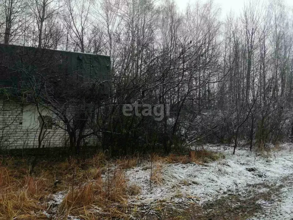 Участок в Нижегородская область, Выкса ул. Металлургов (10.0 сот.) - Фото 1