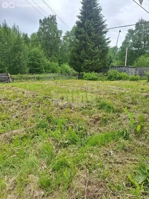 Участок в Вологодская область, Усть-Кубинский муниципальный округ, ... - Фото 0